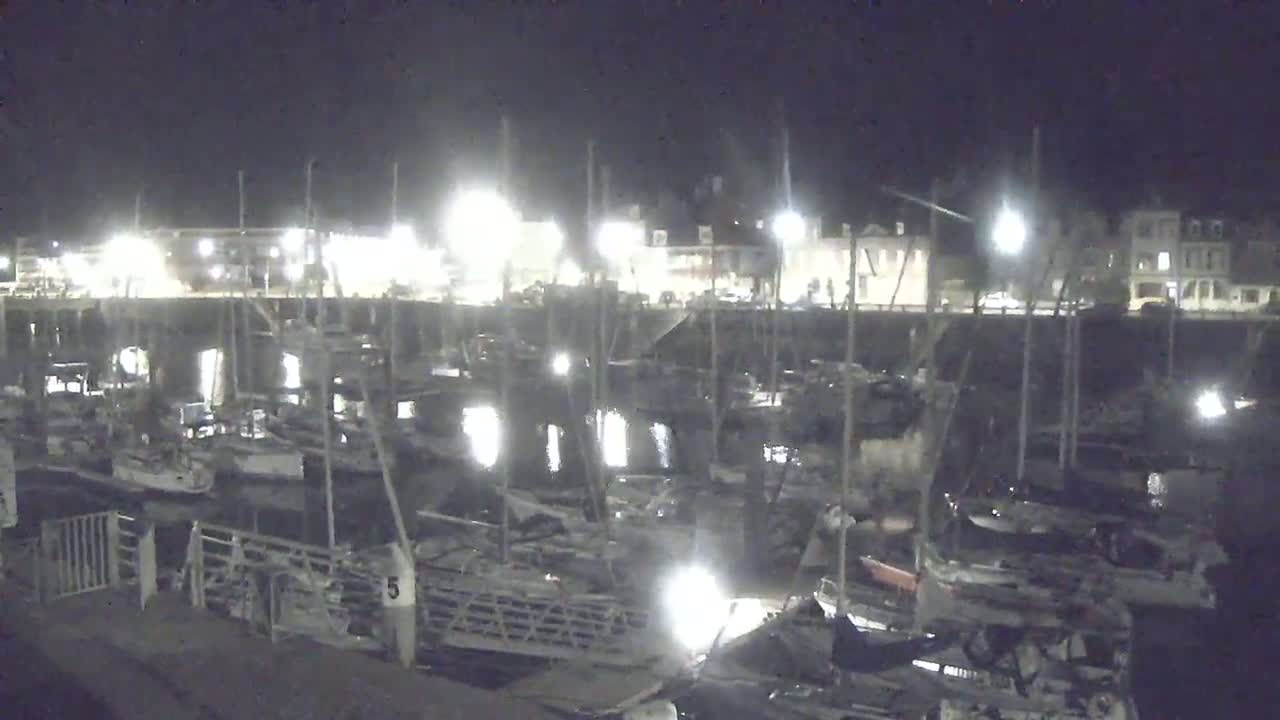 Many sailboats are docked at a marina at night under artificial light.
