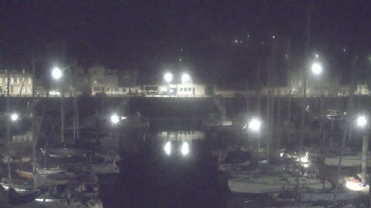 A nighttime view of a marina with many boats docked, illuminated by numerous lights along a waterfront with buildings in the background.