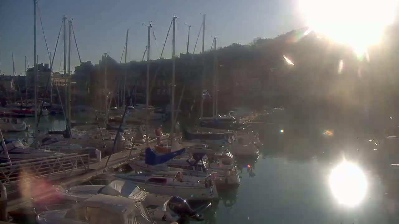 Many sailboats are docked in a marina on a sunny day.