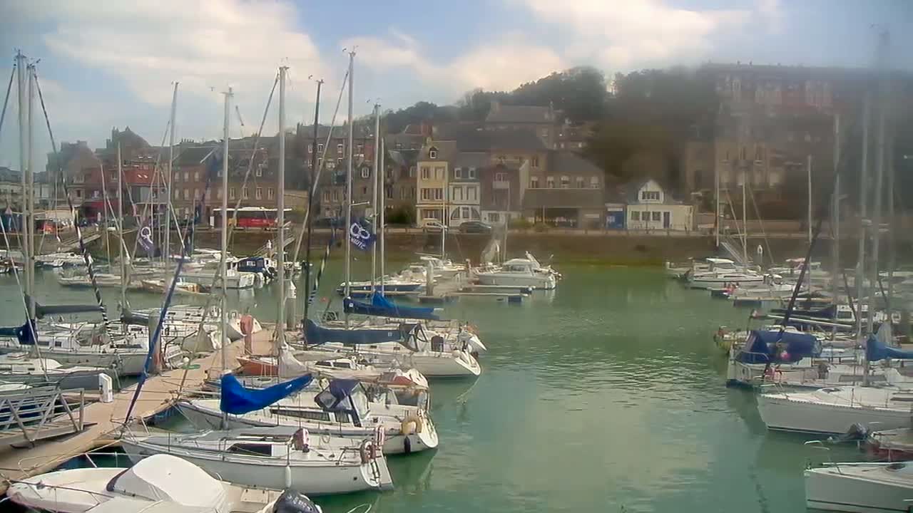 Many sailboats are docked in a marina, with a town and hillside visible in the background under a partly cloudy sky.