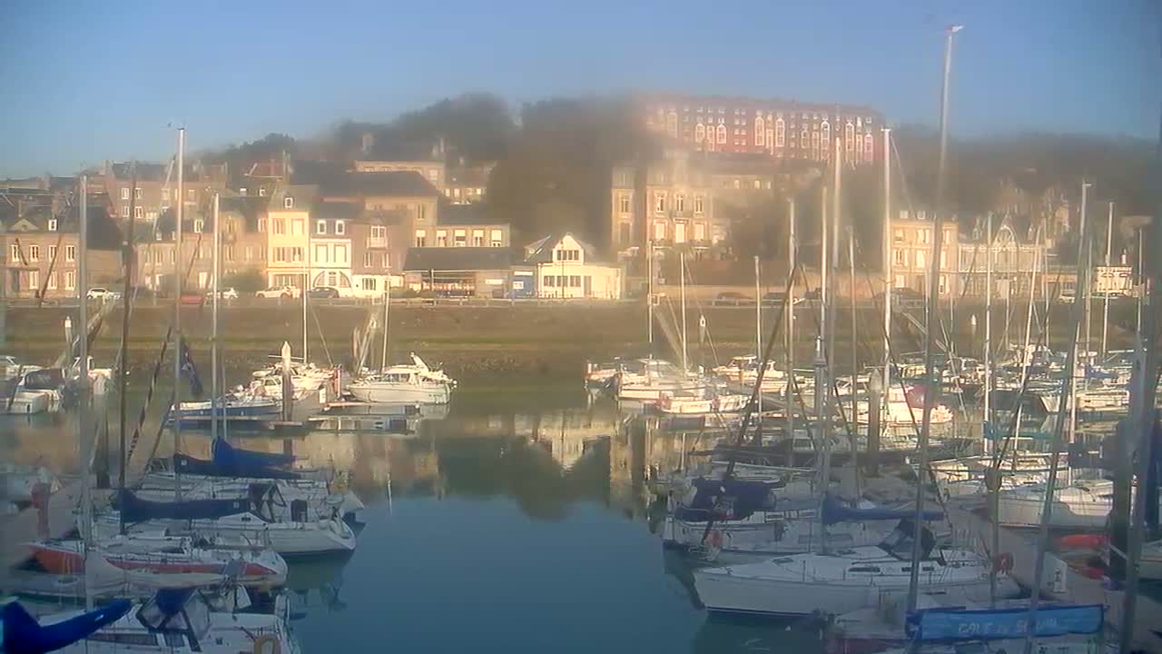 A marina filled with sailboats is situated in front of a town on a slightly hazy day.