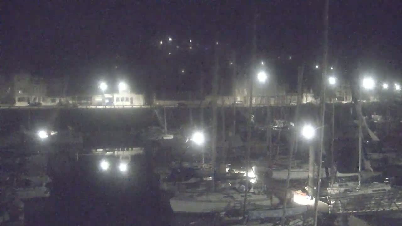 A nighttime view of a marina with numerous boats docked under bright artificial lights.