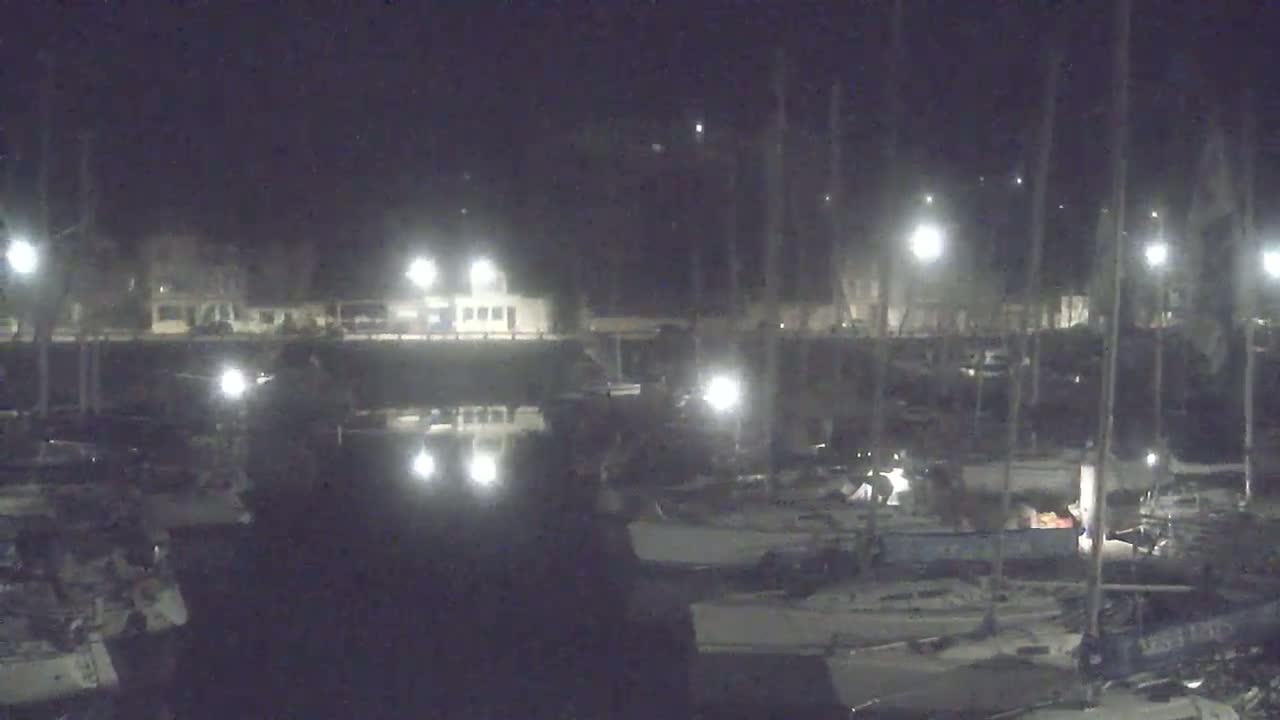 A nighttime view of a marina filled with boats, illuminated by lights along a waterfront.