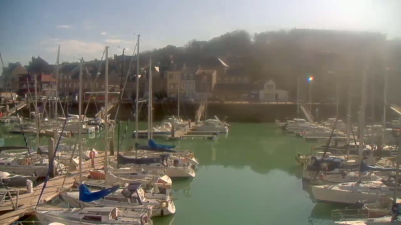Numerous sailboats are docked in a calm harbor on a sunny day, with buildings and a hill visible in the background.