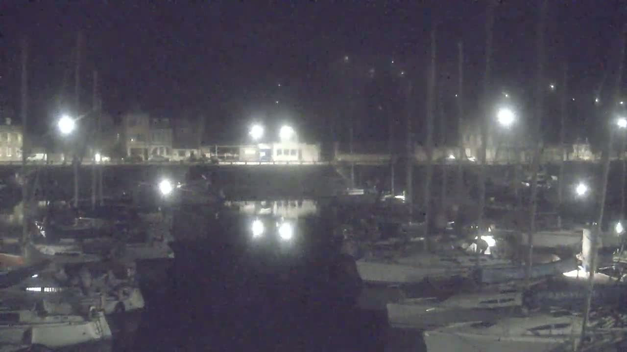 A nighttime view of a marina with numerous boats docked under artificial lighting.