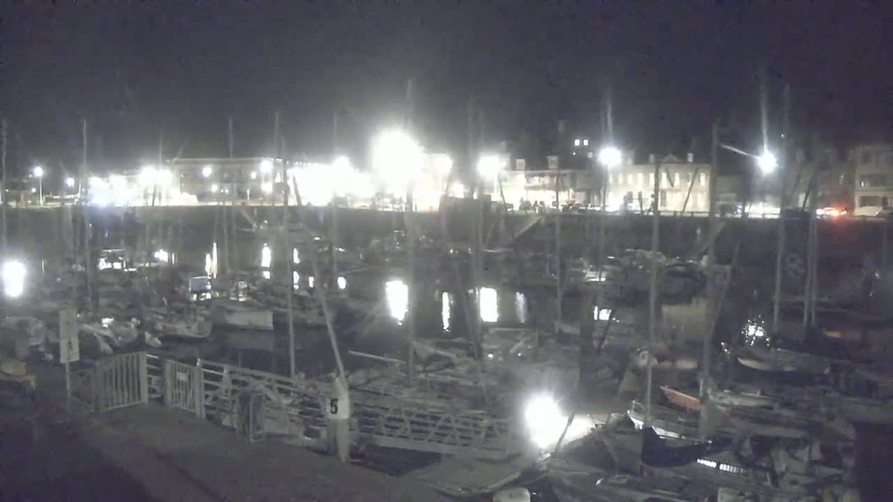 Many boats are docked at a harbor at night under artificial light.
