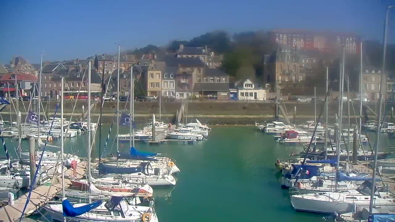 A marina filled with sailboats and motorboats is situated in front of a town under a clear blue sky.