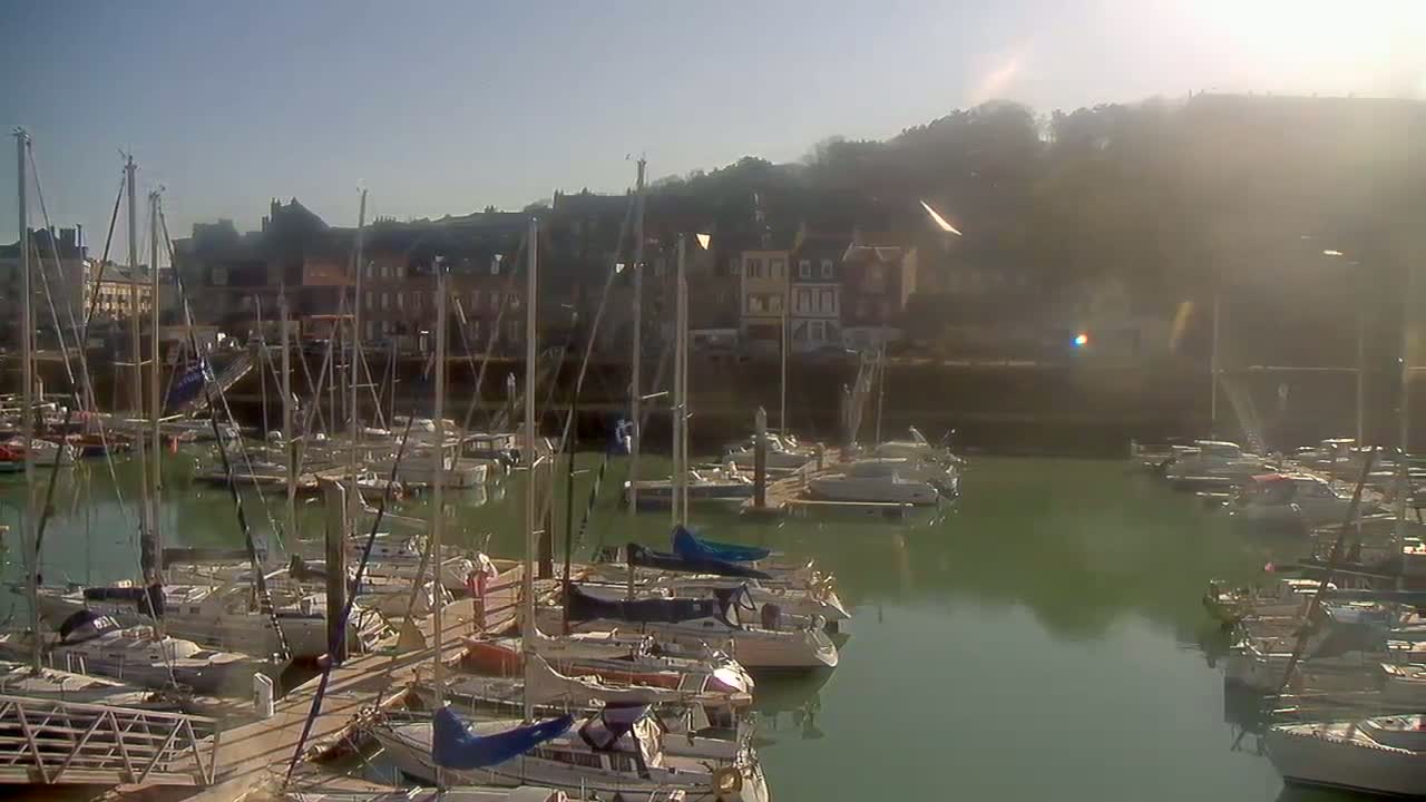 A marina filled with sailboats on a sunny day, backed by a hillside town.