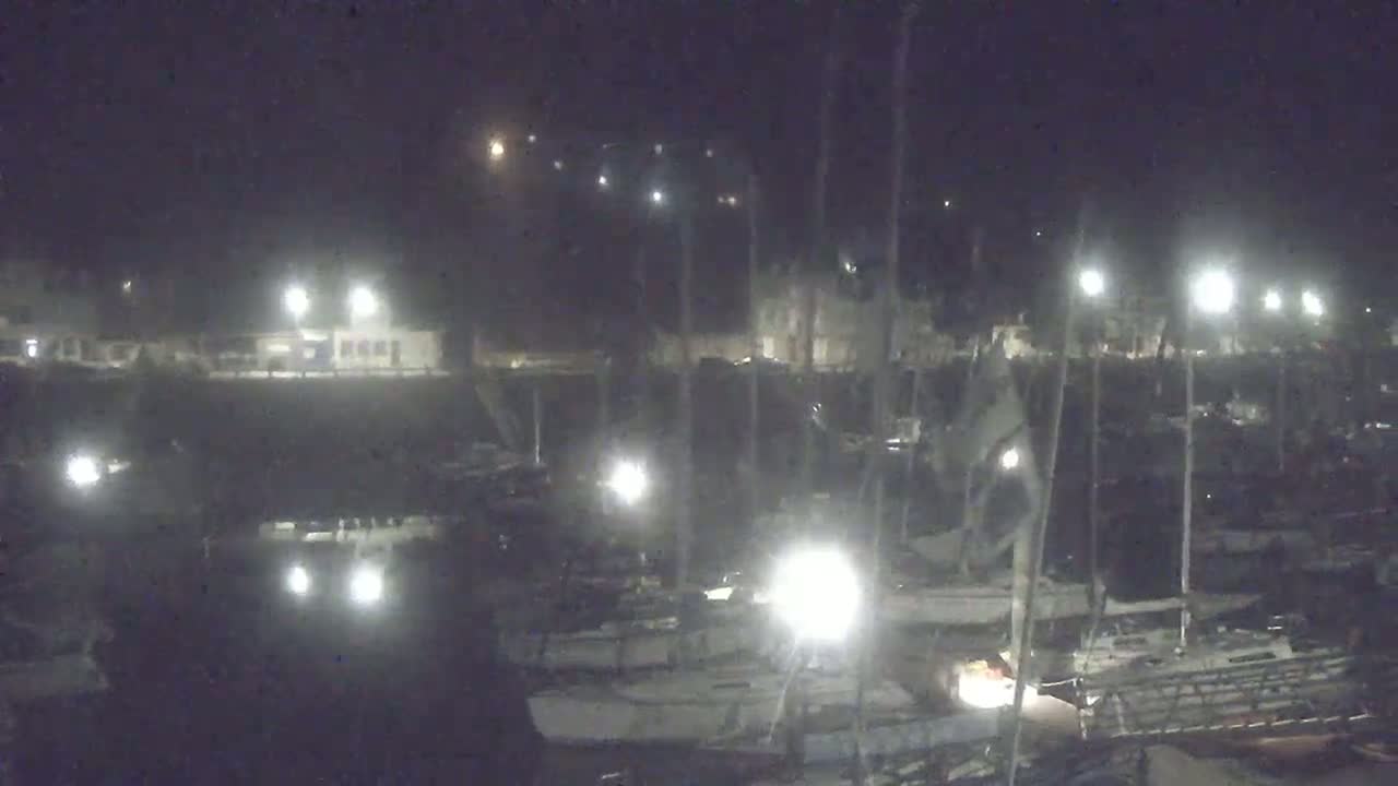 Many sailboats are docked at a marina at night under bright lights.