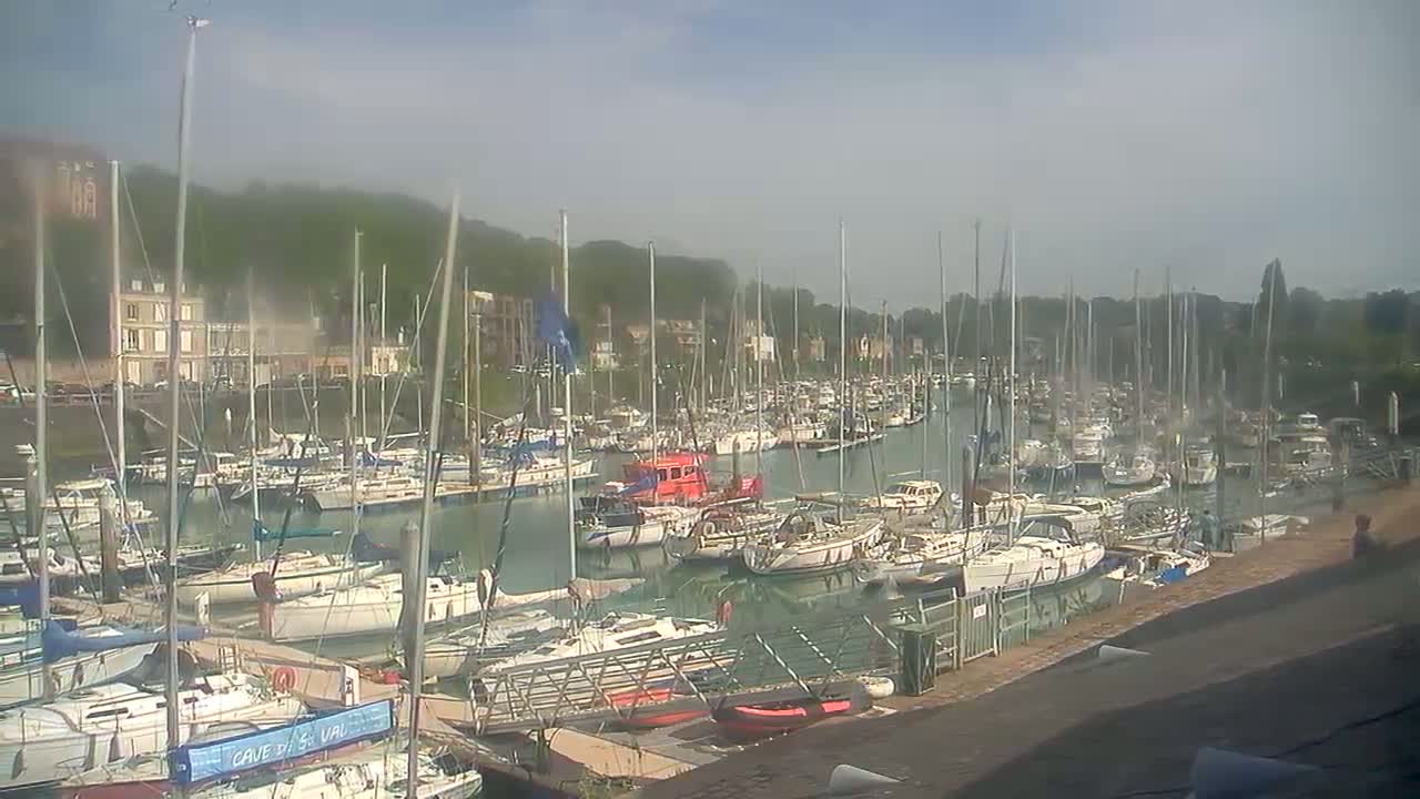 A harbor filled with numerous sailboats and motorboats is seen on a hazy day, with tree-covered hills in the background.