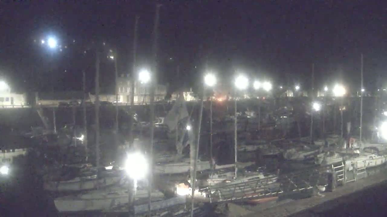 A nighttime view of a marina filled with sailboats and other vessels under a clear, moonlit sky.