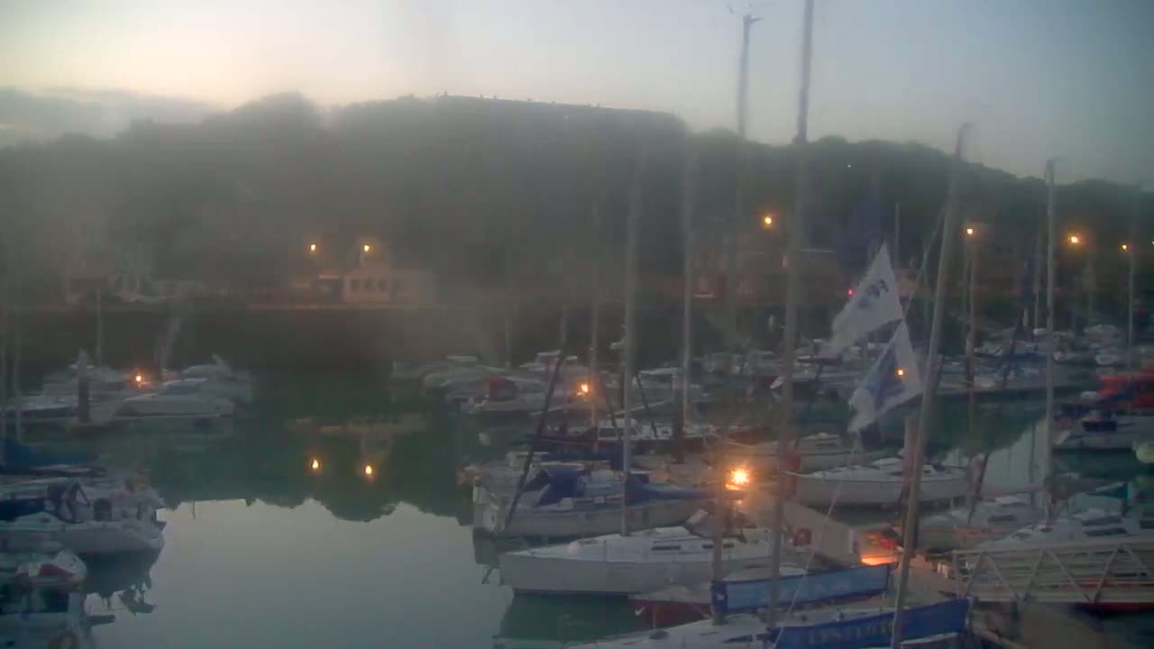 Many sailboats are moored in a harbor shrouded in fog at dawn.