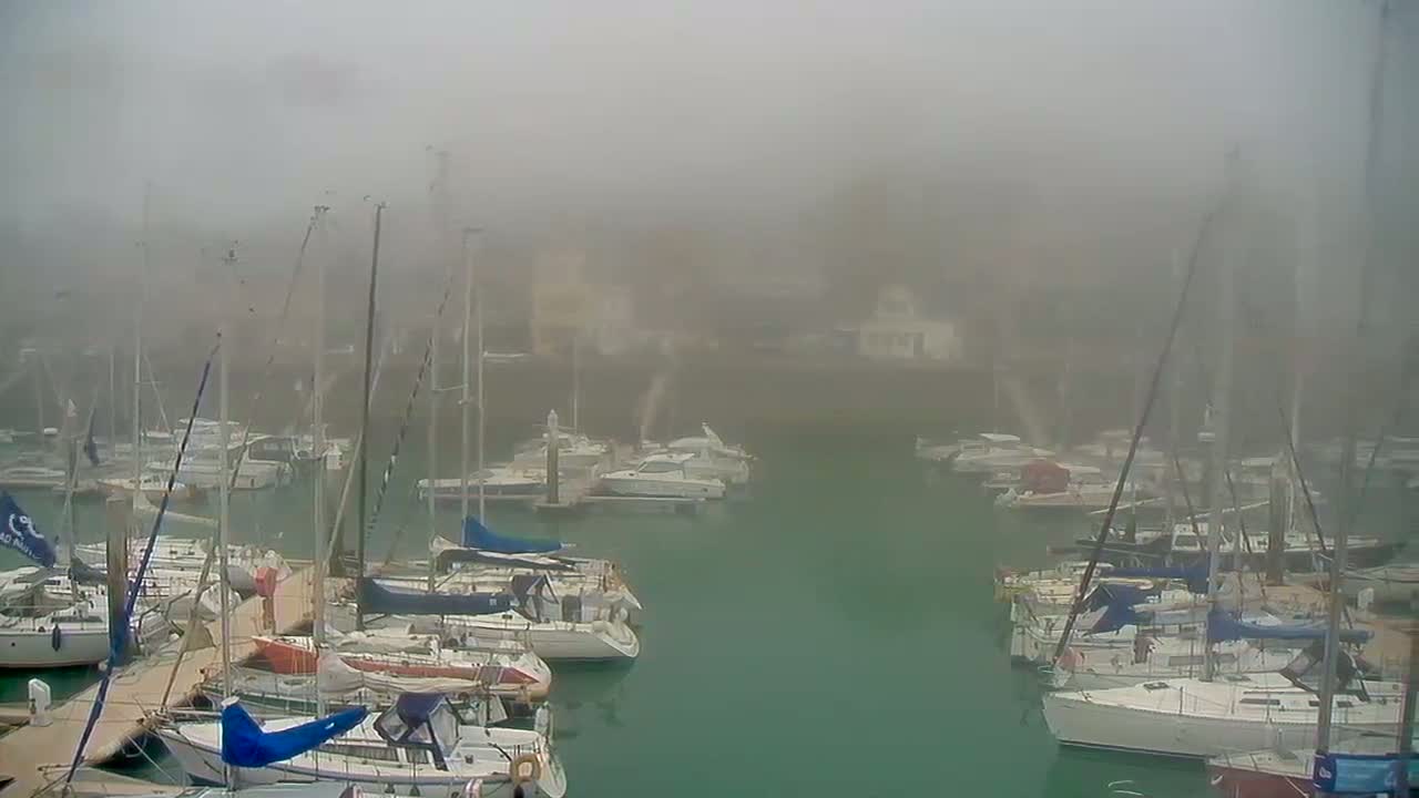 Many sailboats and motorboats are docked in a marina shrouded in thick fog.