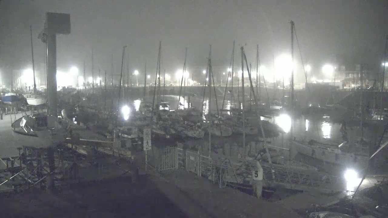 Many sailboats are docked in a harbor at night in foggy conditions.