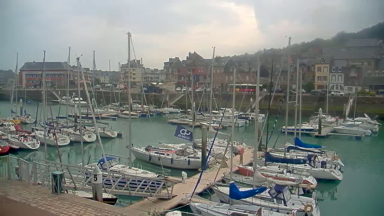 A harbor filled with numerous sailboats and motorboats is nestled against a backdrop of buildings under an overcast sky.