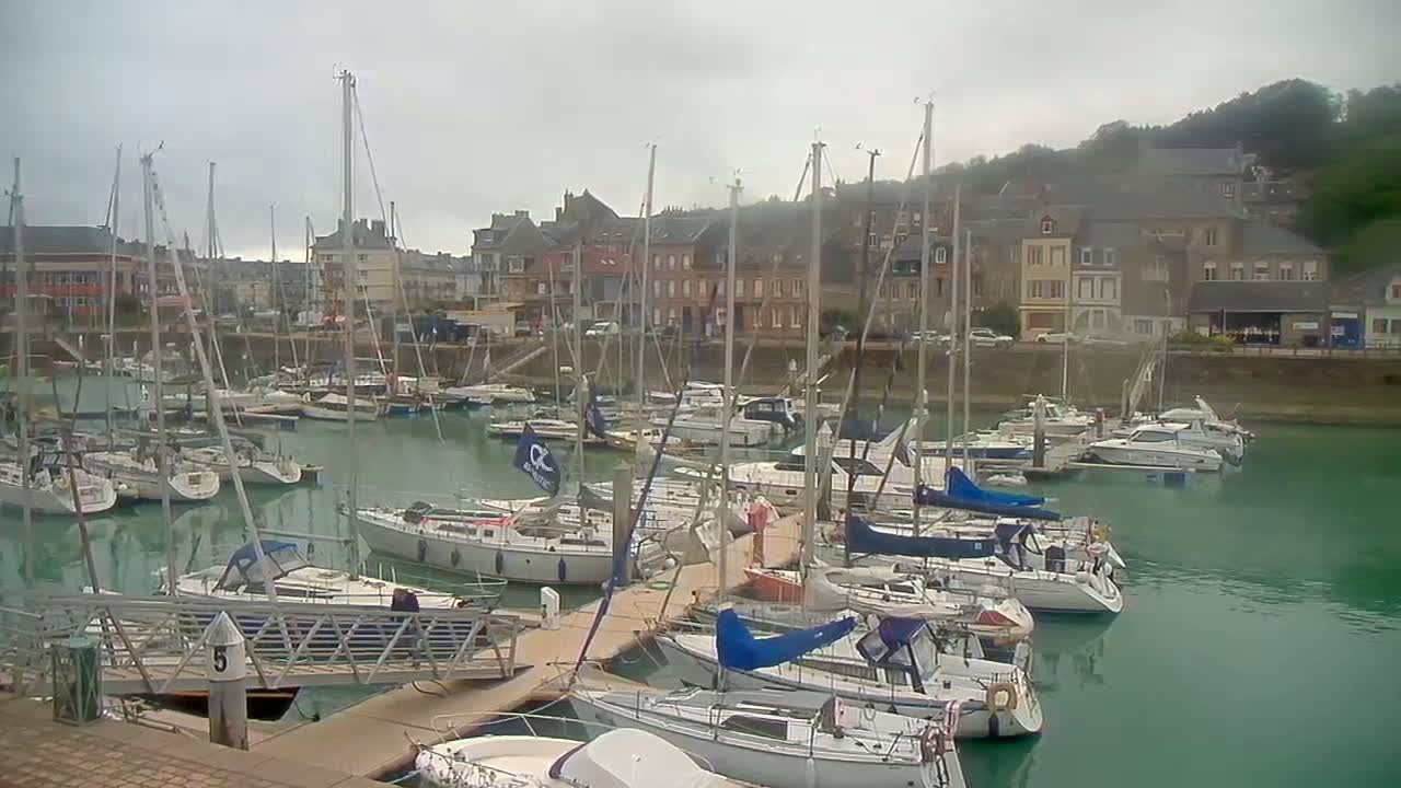 Many sailboats are docked in a marina on an overcast day, with buildings and hills visible in the background.