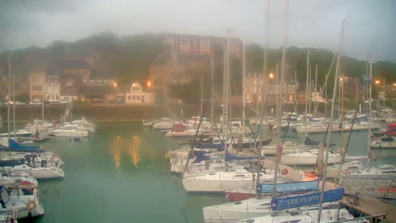 Many sailboats are moored in a harbor on a foggy day, with buildings and hills visible in the background.
