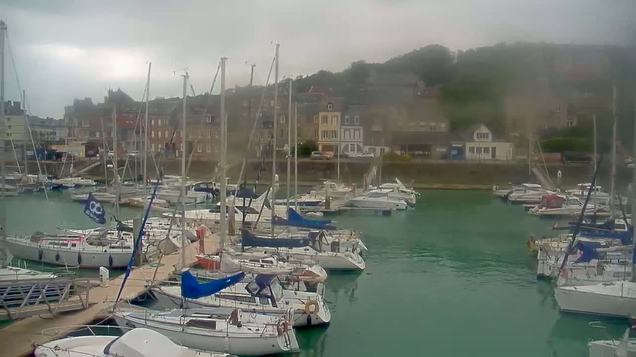 Many sailboats are docked in a marina on a cloudy day, with buildings and a hillside visible in the background.