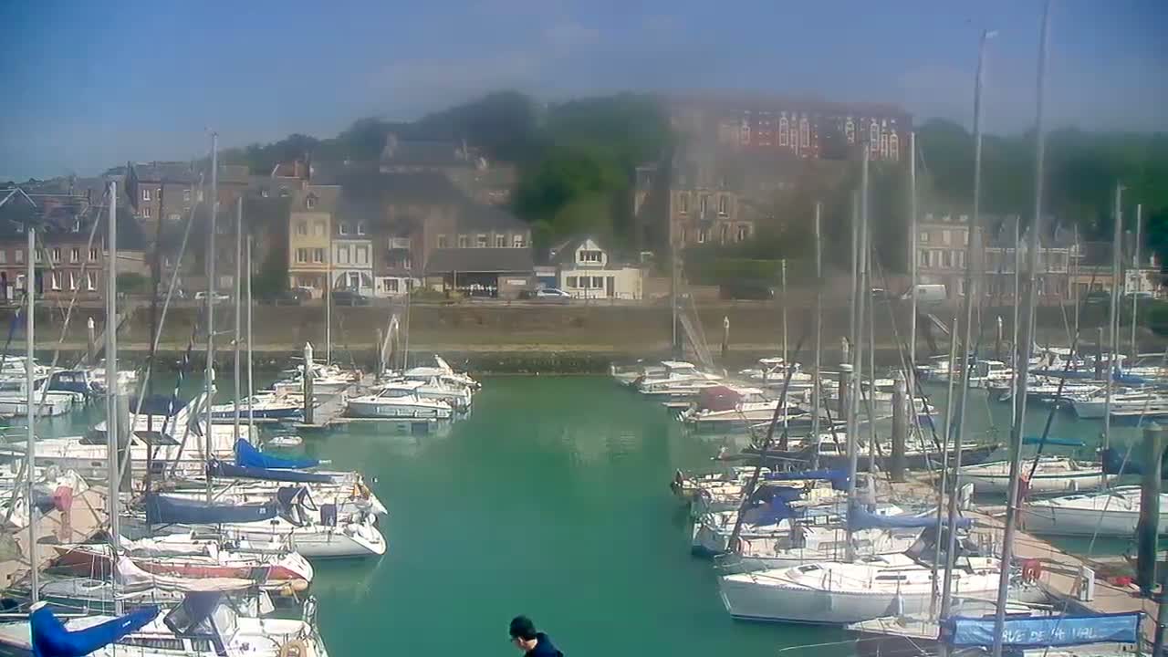 A marina filled with numerous sailboats and motorboats is situated in front of a town on a sunny day.