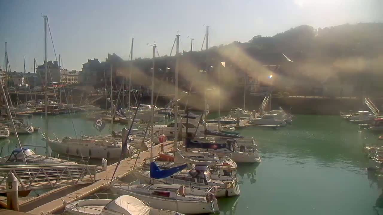 Many sailboats are docked in a marina on a sunny day, with a hazy or smoky atmosphere near a hillside.
