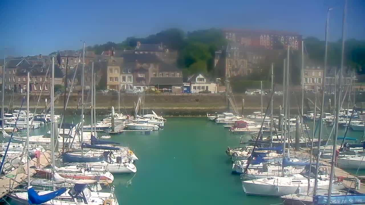 A marina filled with numerous sailboats and motorboats is nestled beside a waterfront town under a clear, sunny sky.