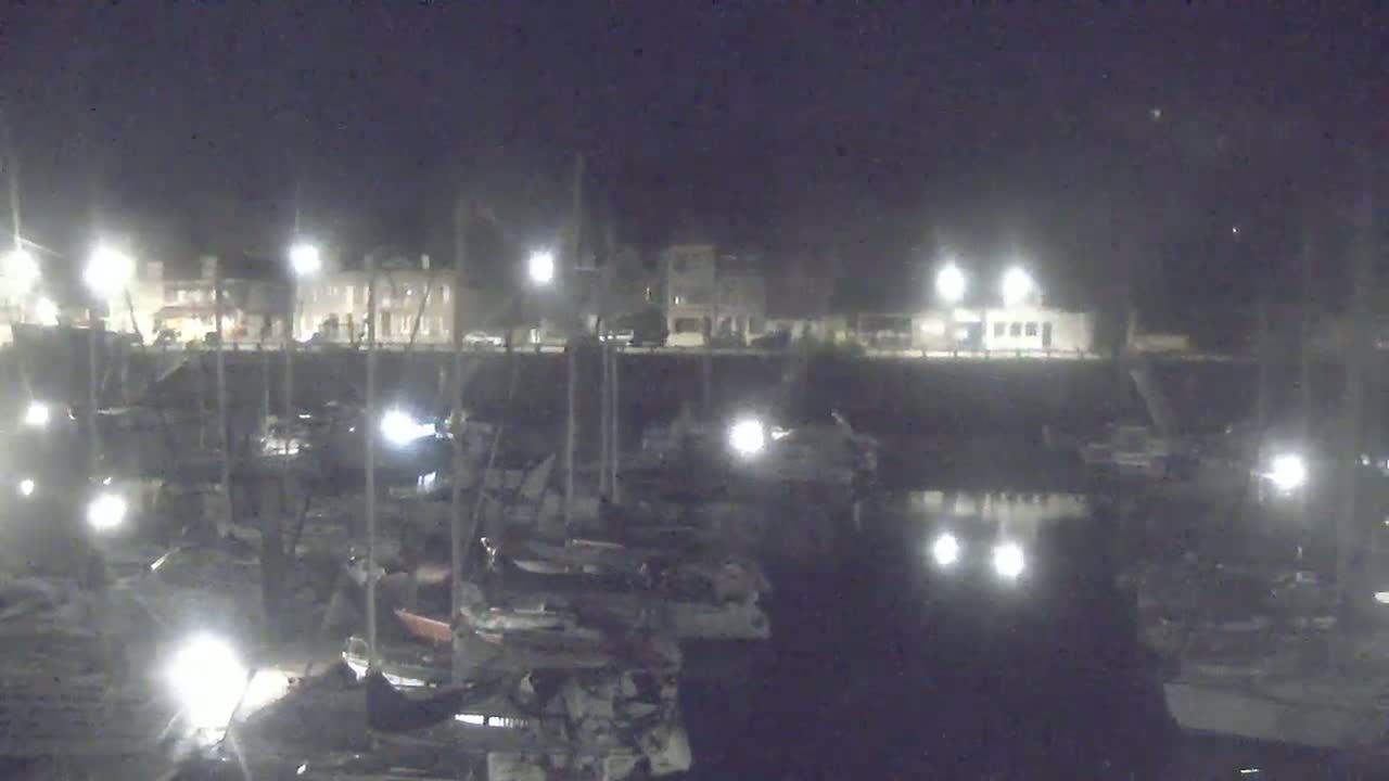 A nighttime view of a harbor filled with numerous boats docked along a waterfront, illuminated by lights.