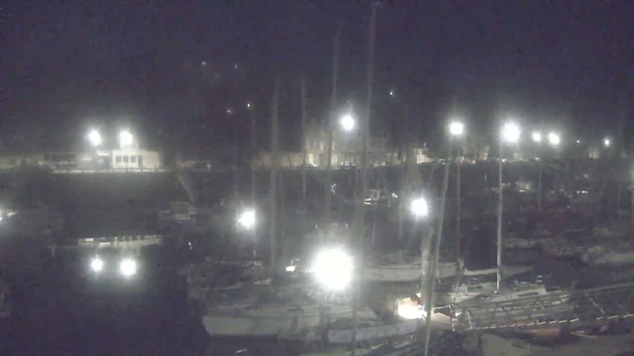 A nighttime, dimly lit marina filled with numerous sailboats and illuminated by several lights.
