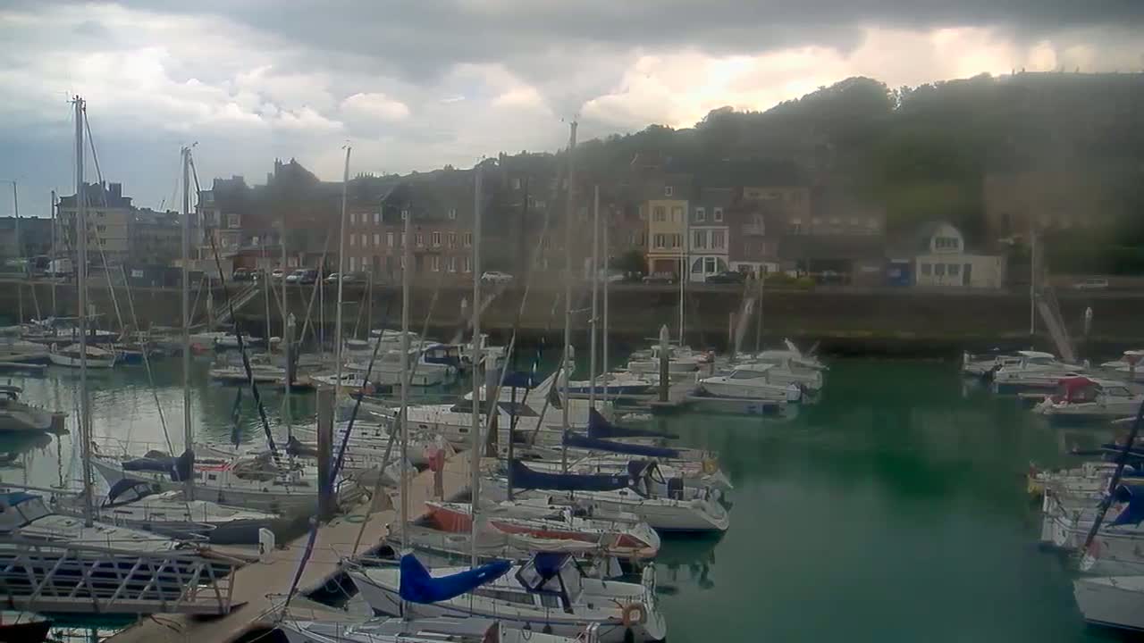 A marina filled with sailboats is nestled beside a waterfront town under a cloudy sky.