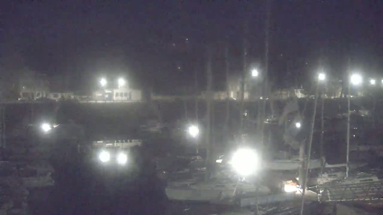 A nighttime view of a marina with numerous boats docked under artificial lights.