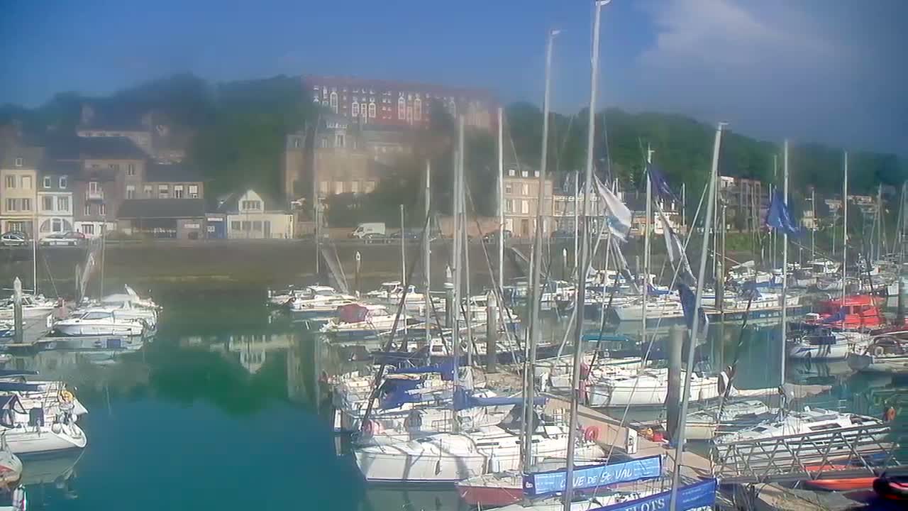 A marina filled with sailboats is nestled beside a waterfront town under a mostly clear, sunny sky.