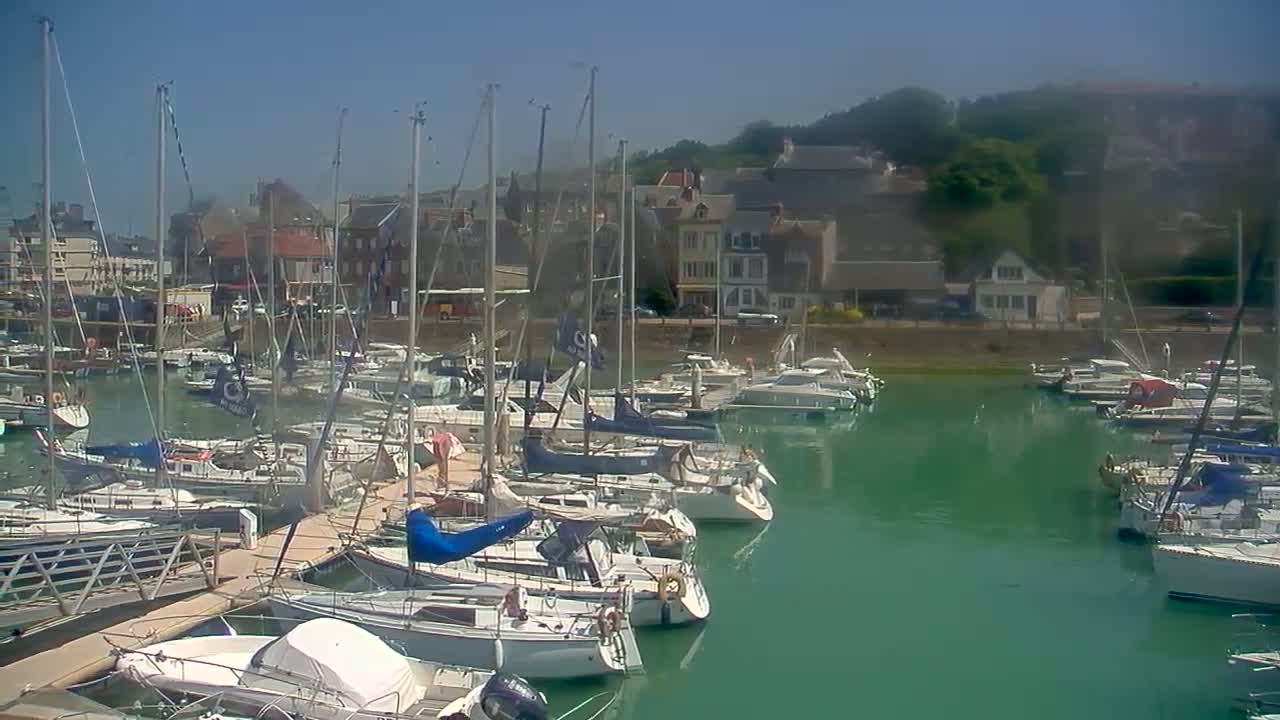 Many sailboats are docked in a marina on a sunny day, with a town visible in the background.