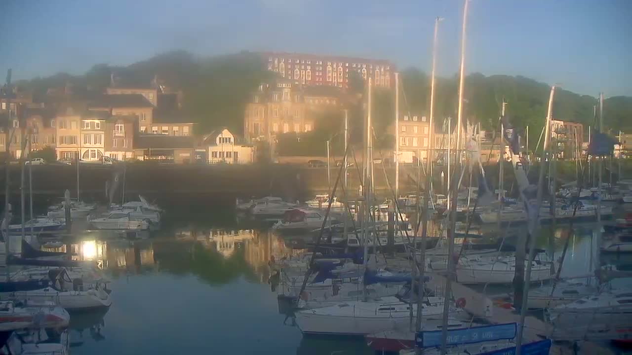 Many sailboats are docked in a marina at sunrise in a hazy atmosphere, with buildings on a hillside in the background.