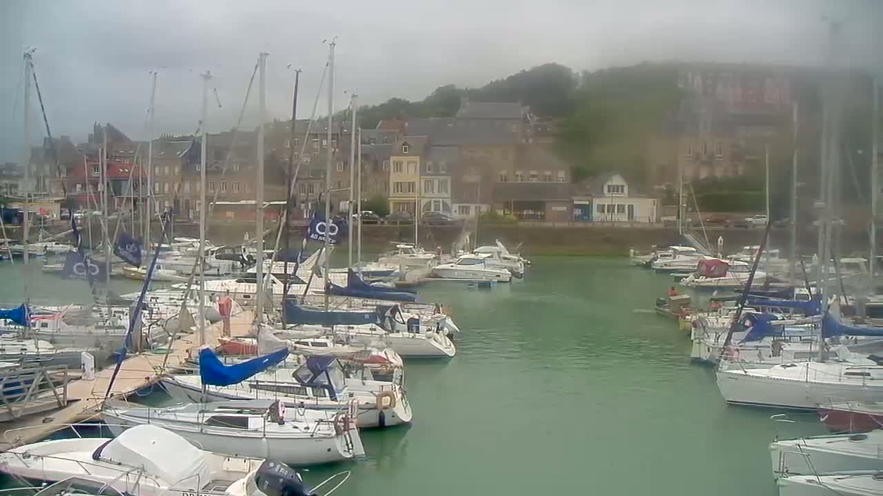 Many sailboats are moored in a harbor next to a town on an overcast day.