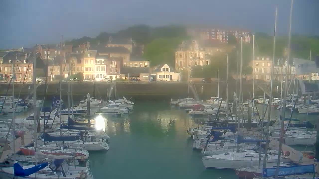 Many sailboats are moored in a harbor next to a row of buildings on a hazy day.