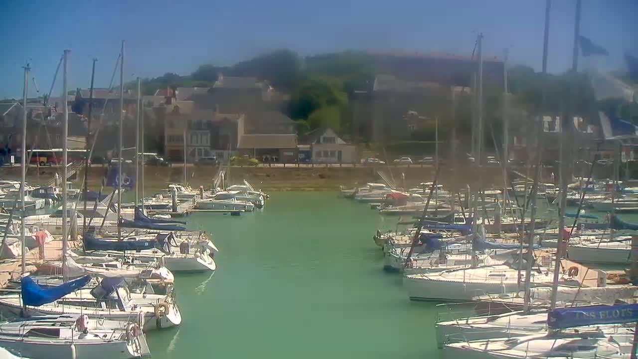 Numerous sailboats are docked in a calm, green harbor on a sunny day, with a small town visible in the background.