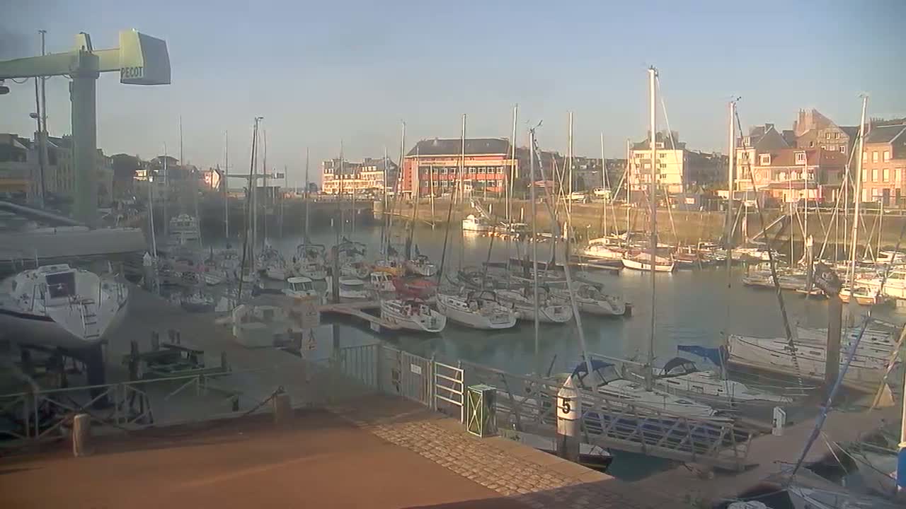 A marina filled with sailboats and yachts is seen on a clear, sunny day, with buildings lining the waterfront in the background.