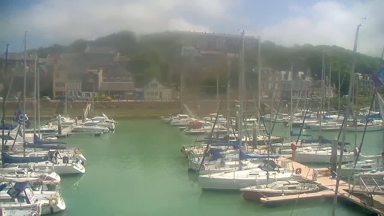 Many sailboats are docked in a marina, with a hazy or foggy atmosphere, and a town on a hill in the background.