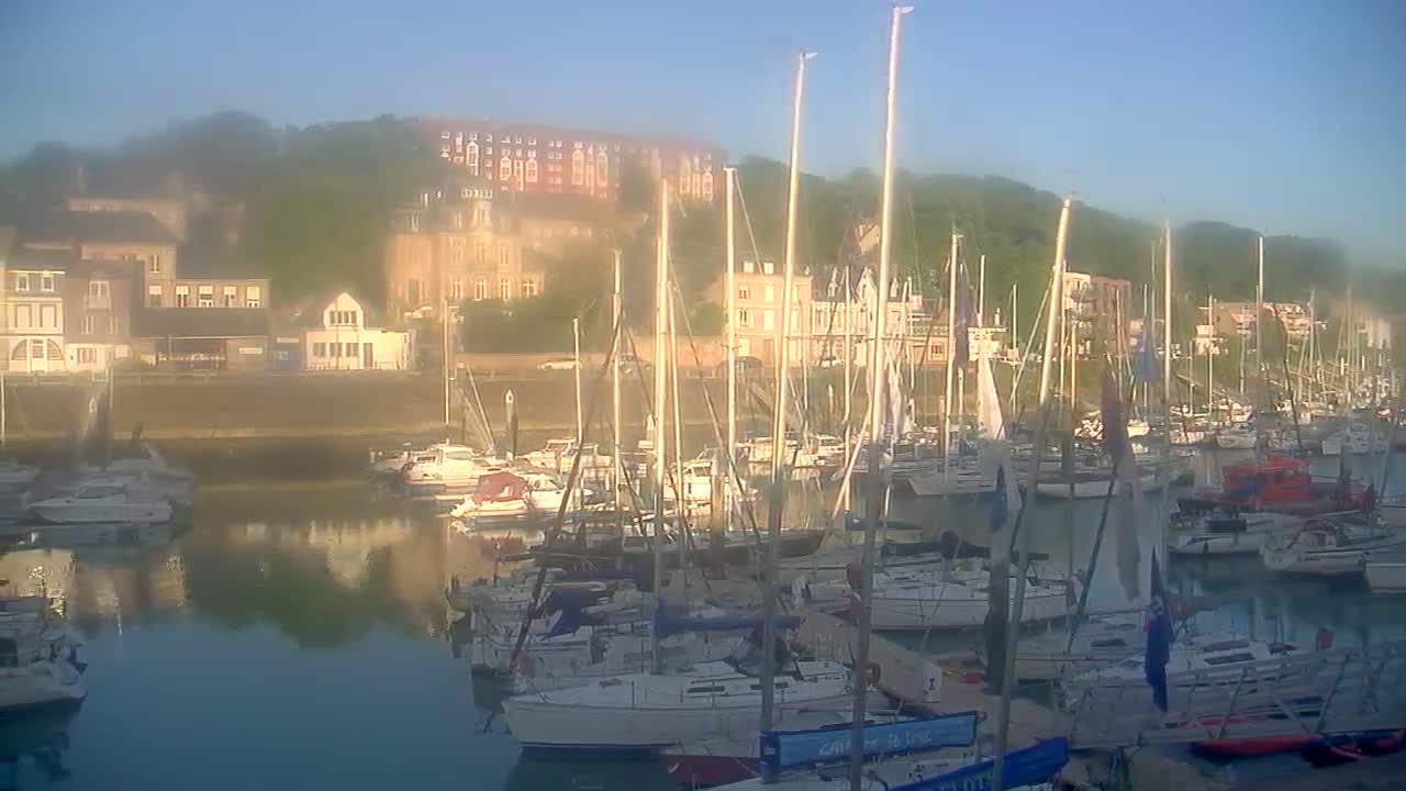 Many sailboats are docked in a harbor in front of buildings on a hazy, sunny morning.
