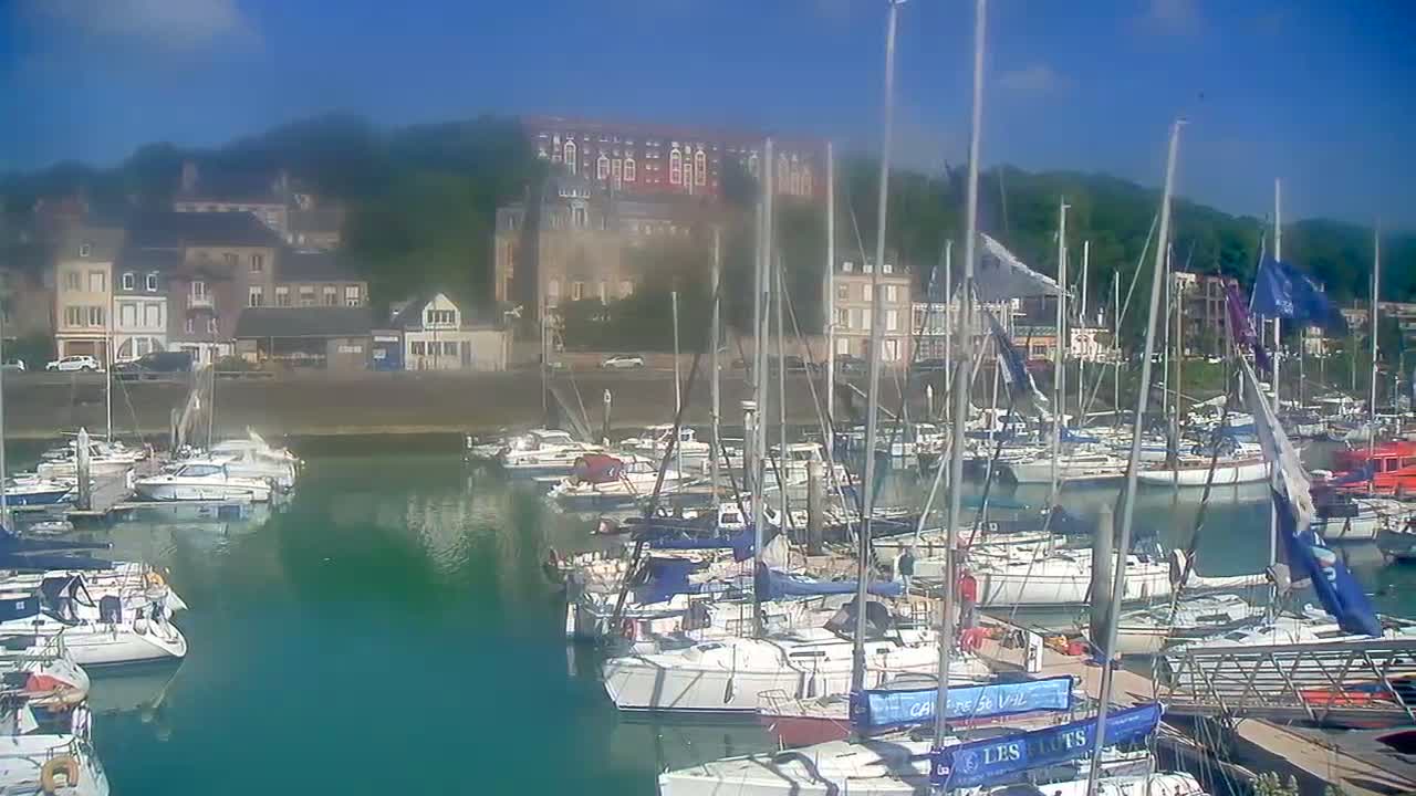 A marina filled with sailboats and motorboats is nestled against a hillside of buildings under a clear, sunny sky.