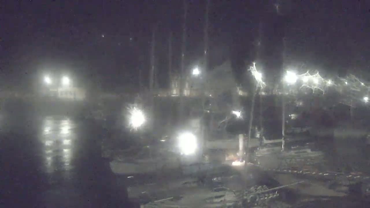 A nighttime, foggy scene shows a harbor with numerous boats and docks illuminated by scattered lights.