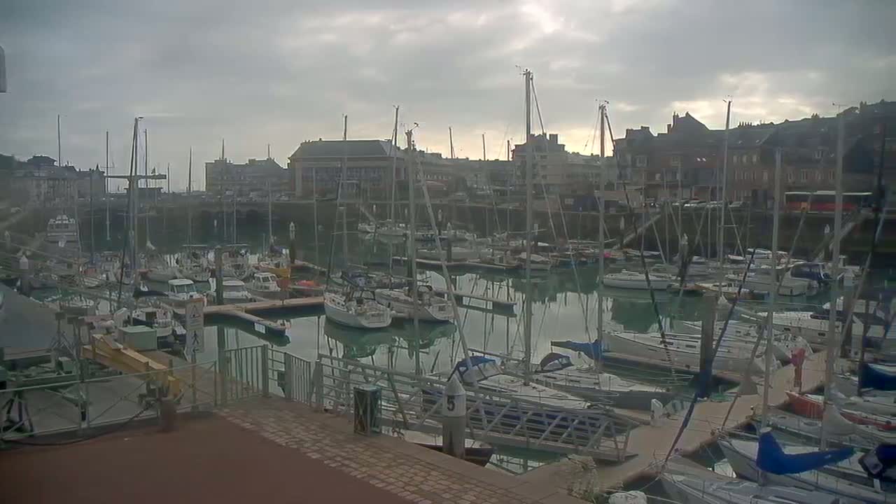 A harbor filled with numerous sailboats and yachts under an overcast sky.