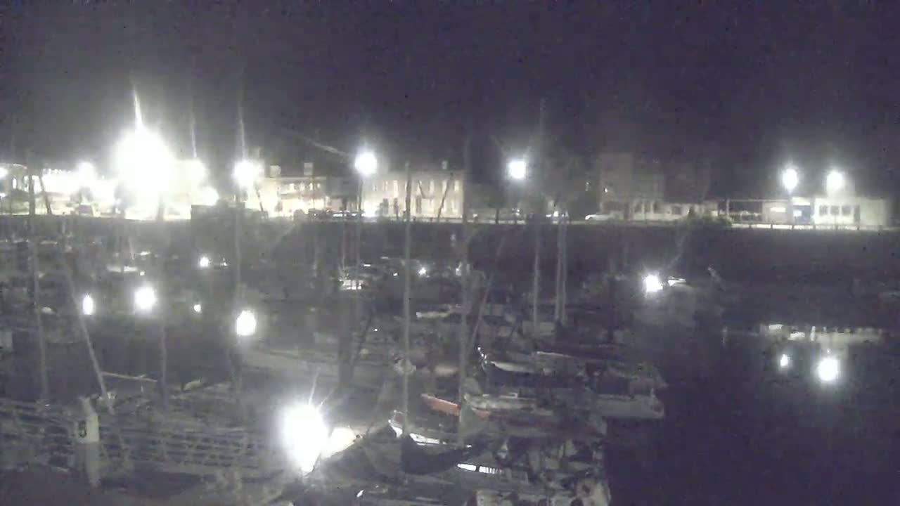 A nighttime view of a harbor filled with numerous boats moored alongside a waterfront with buildings and streetlights.