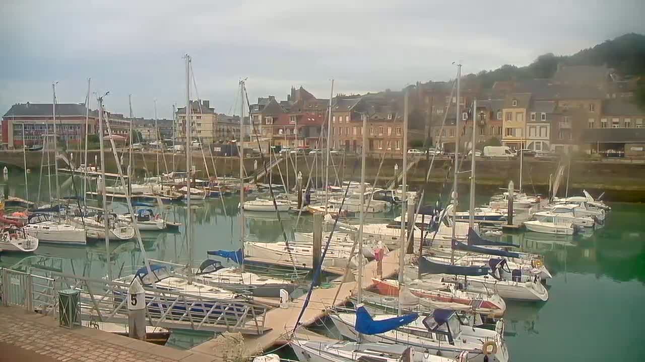 A marina filled with sailboats and motorboats is nestled between a waterfront town and a hillside under an overcast sky.