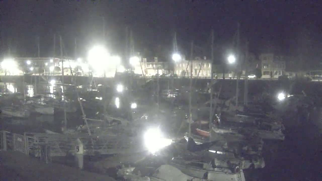 A nighttime view of a marina with many boats docked, illuminated by artificial lights.