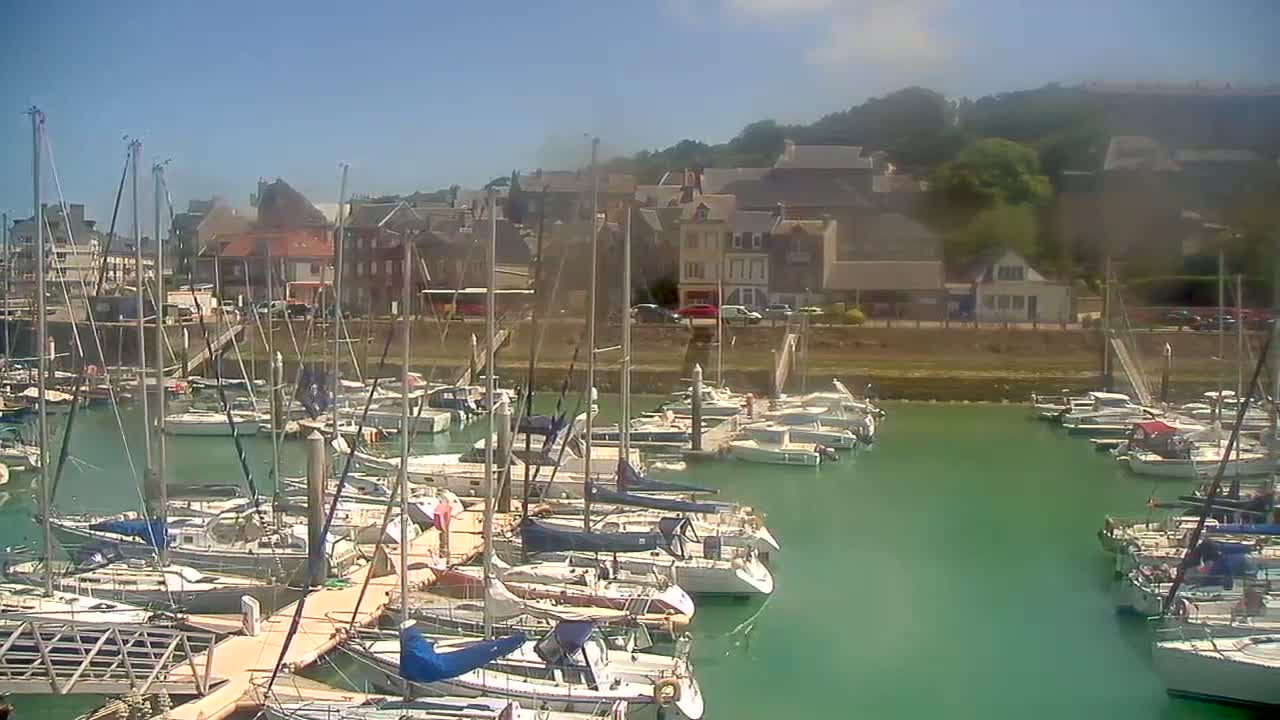 Numerous sailboats are docked in a marina on a sunny day, with a small town visible in the background.