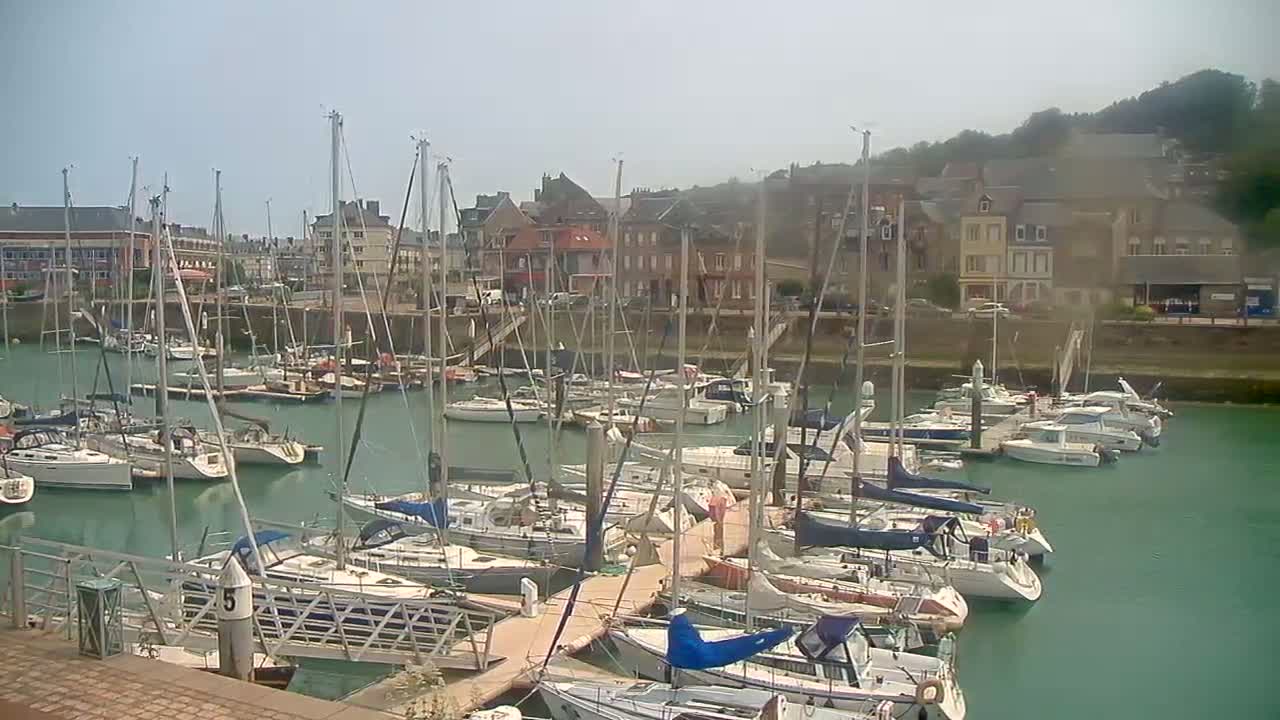 Numerous sailboats are moored in a marina on a calm, sunny day, with a town visible in the background.