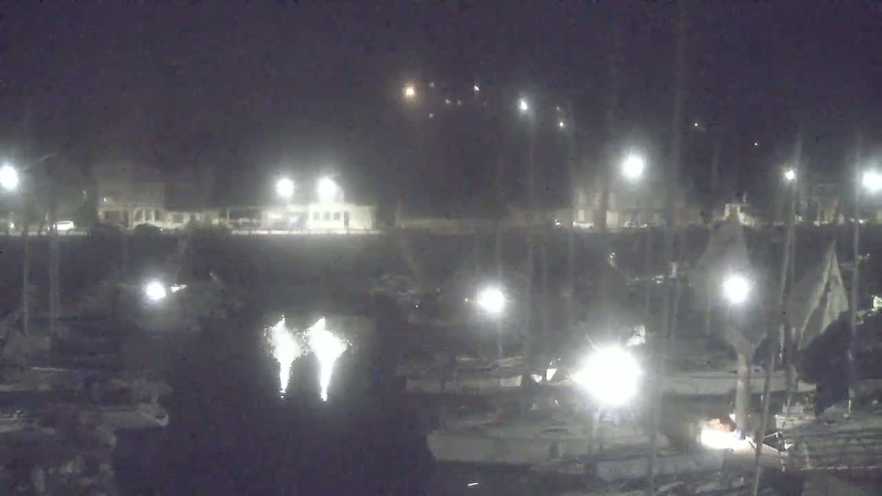 A nighttime, low-light view of a marina with numerous boats docked and illuminated by various lights.