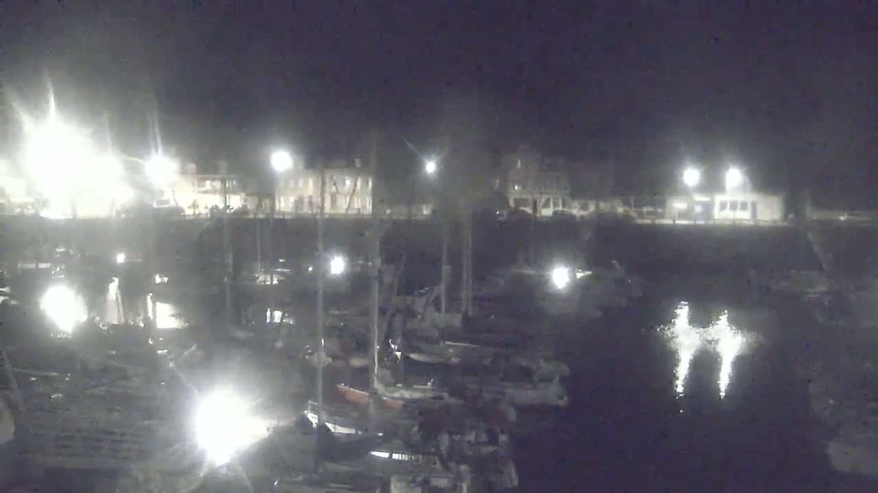 A nighttime view of a harbor filled with numerous boats, docked alongside a waterfront with buildings and lights.