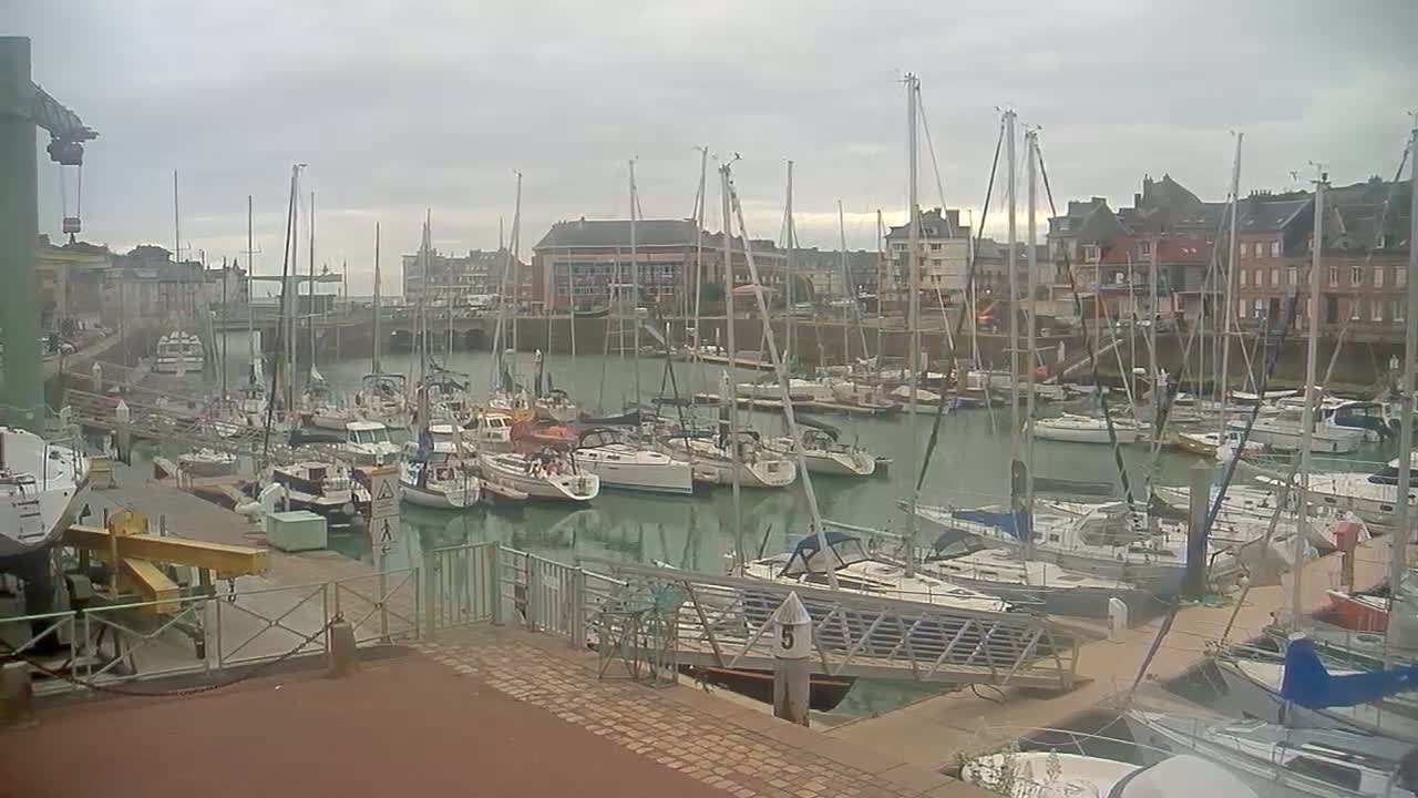 Many sailboats are docked in a harbor on an overcast day.