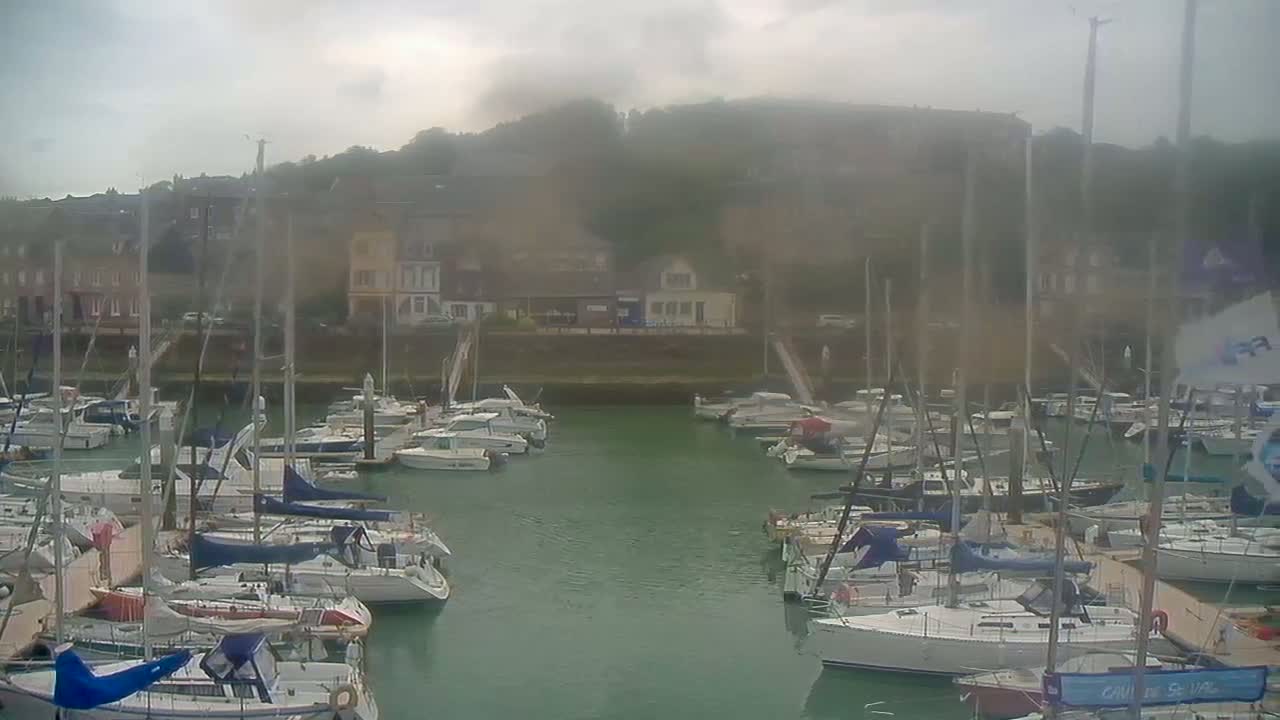 A marina filled with sailboats and motorboats under an overcast sky.